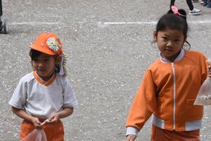 img_20230331-051606.jpg