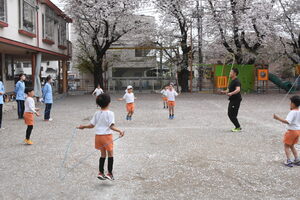 img_20230331-060823.jpg