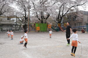 img_20230331-061054.jpg