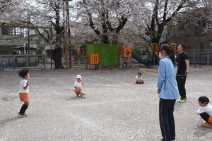 img_20230331-061154.jpg