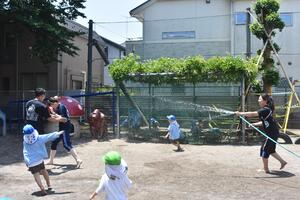 img_20230517-044729.jpg
