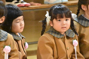 img_20230529-042345.jpg