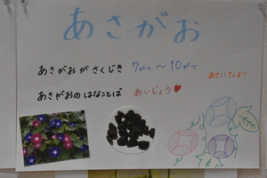img_20230531-043946.jpg