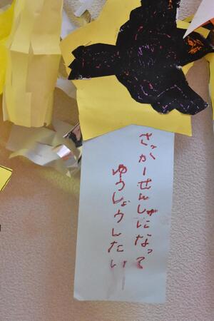 img_20230619-042359.jpg
