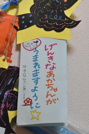 img_20230619-042710.jpg