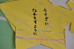 img_20230626-043809.jpg