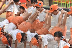 img_20230920-061643.jpg