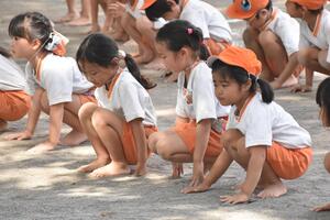 img_20230920-061657.jpg