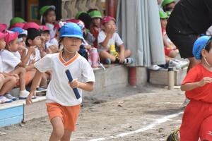 img_20230922-055246.jpg