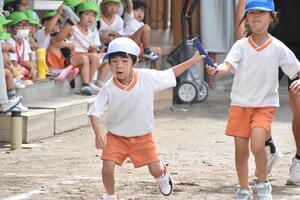 img_20230922-055338.jpg