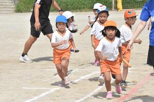 img_20230926-074817.jpg