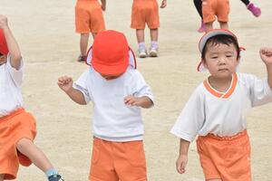 img_20230927-063708.jpg
