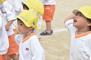 img_20230927-063759.jpg