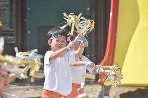 img_20230928-044617.jpg