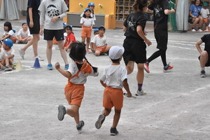 img_20230929-064836.jpg