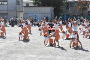 img_20231007-055932.jpg