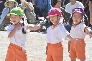 img_20231007-061346.jpg
