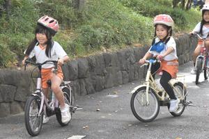 img_20231106-145936.jpg