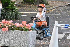 img_20231106-150115.jpg
