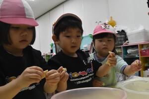 img_20231117-151212.jpg