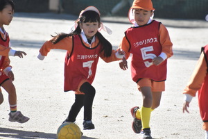 img_20231124-105408.jpg