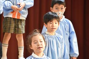img_20231211-151244.jpg