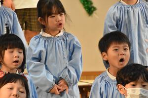 img_20231211-151251.jpg