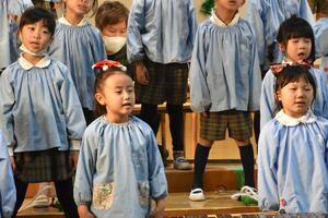 img_20231211-151258.jpg