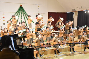 img_20231216-134401.jpg