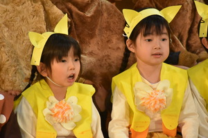 img_20240210-151106.jpg