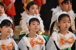 img_20240210-151401.jpg