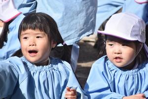img_20240216-133700.jpg