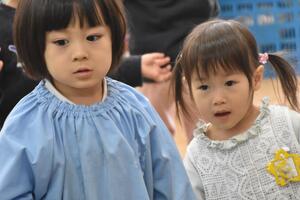img_20240216-134245.jpg