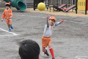 img_20240305-145229.jpg