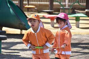 img_20240311-153134.jpg