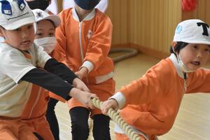 img_20240312-151843.jpg
