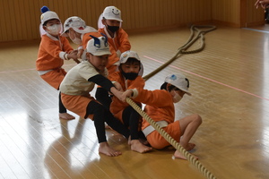 img_20240312-151857.jpg
