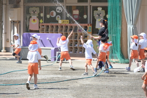 img_20240416-145729.jpg