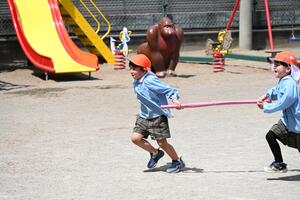 img_20240417-150457.jpg