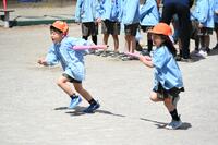 img_20240417-151156.jpg