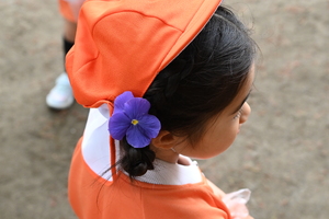 img_20240423-134238.jpg
