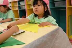 img_20240426-114409.jpg