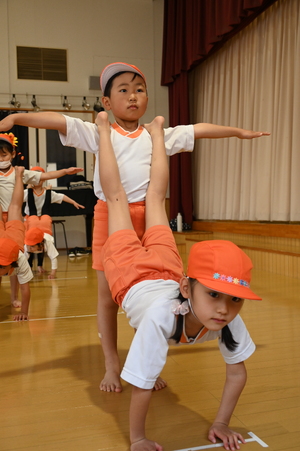 img_20240507-152606.jpg