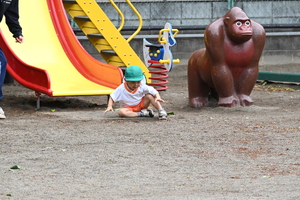 img_20240507-152746.jpg