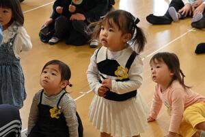 img_20240509-121818.jpg