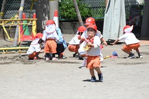 img_20240510-133446.jpg