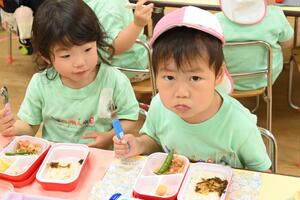 img_20240513-145549.jpg