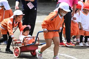 img_20240514-143805.jpg