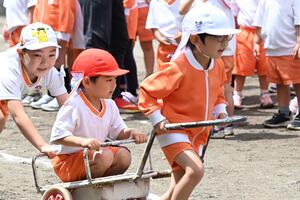 img_20240514-143816.jpg