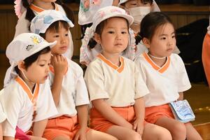 img_20240514-144911.jpg